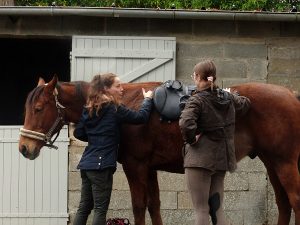 Saddle Fitting