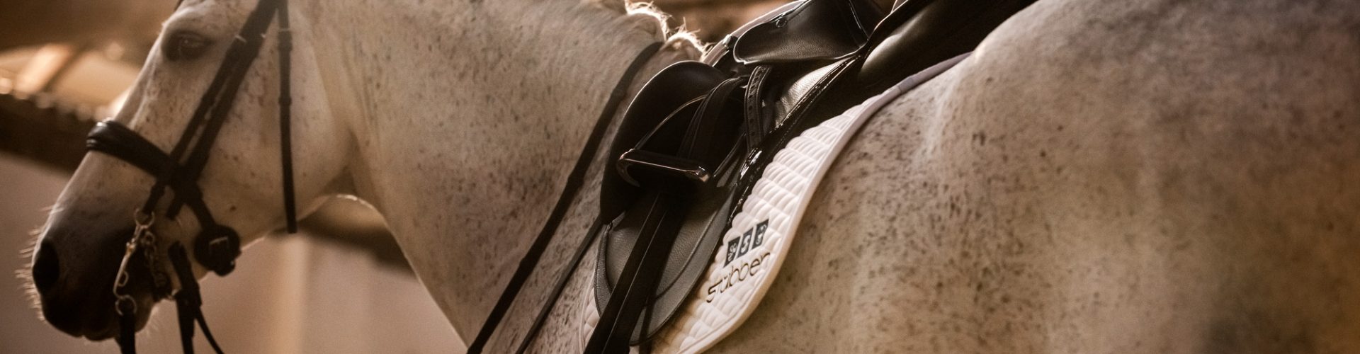 ESSAI DE SELLE 005